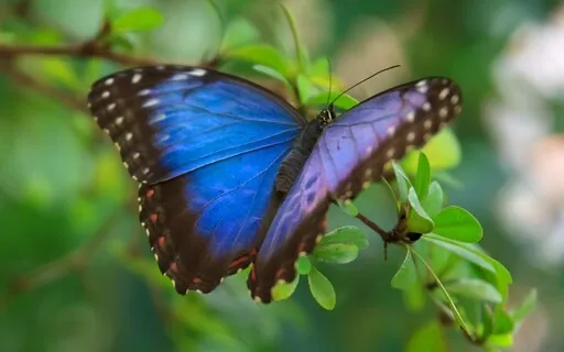 Unconditionally Loving Ourselves