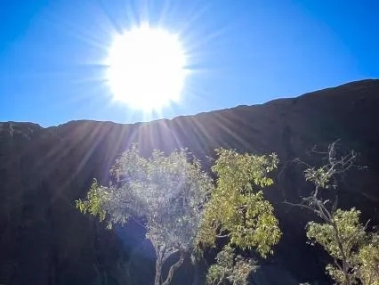 Uncover Our Shared Being - Meditation And Poetry