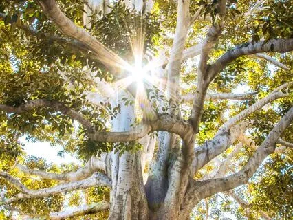 Uncover The Next Steps Of Your Life Purpose