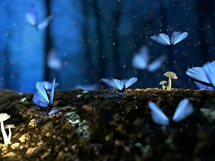 Uncover Your Soul Blueprint