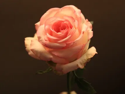 Uncovering And Activating Your Soul Gifts