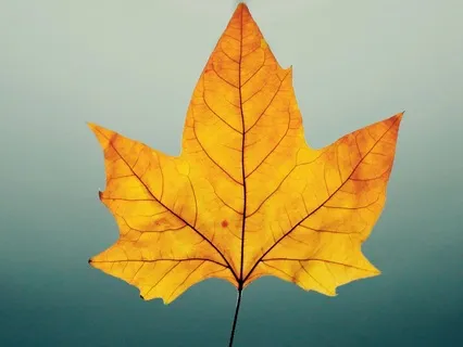 Uncovering Confidence Beneath Fear - October 31