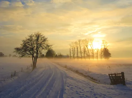 Uncovering Subtle Experience