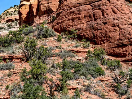 Uncovering The Whole Self