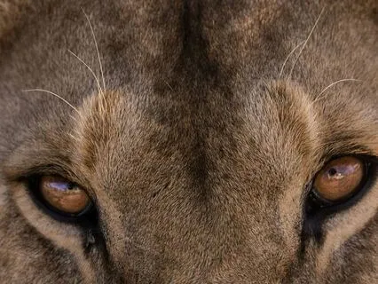 Uncovering The Wisdom In Anger