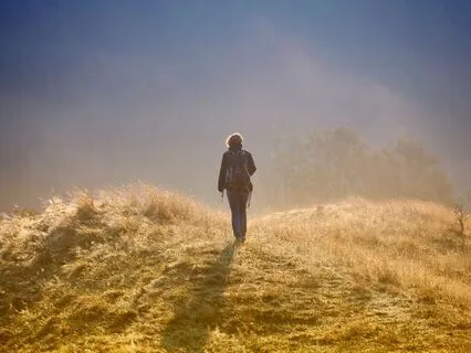 Uncovering True Desires: Aligning Goals With Your Self