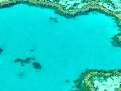 Uncovering Your Barriers