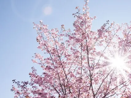 Uncovering Your Inner Shine