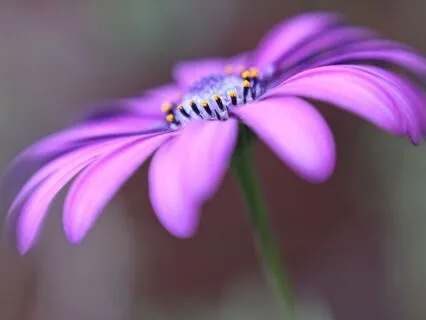 Uncovering Your Soul Purpose