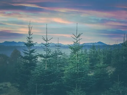 Undefined Head Centre (Human Design)