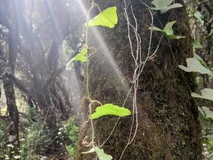 2 1/2 Minutes Breathing Meditation As A Stress Relief Break