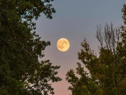 Under The Harvest Moon: A Journey Of Gratitude & Release