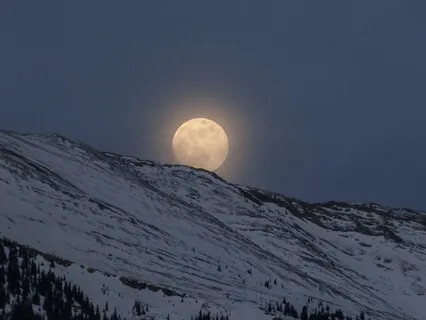 Under The Harvest Moon