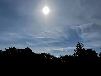 Under The Light Of The Moon