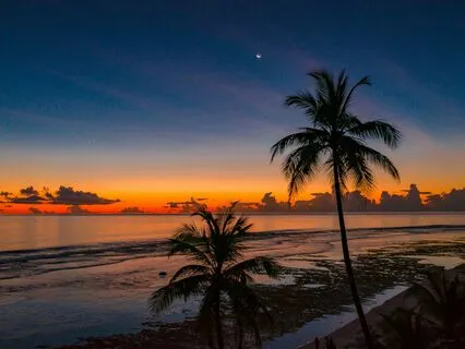 Under The Moon, We Pray