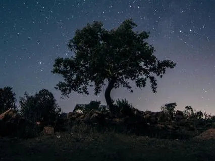 Under The Quiet Sky