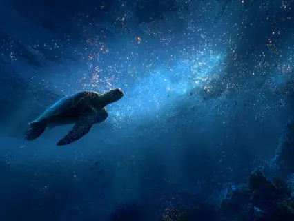 Under The Sapphire Sea: Short Drift To Sleep