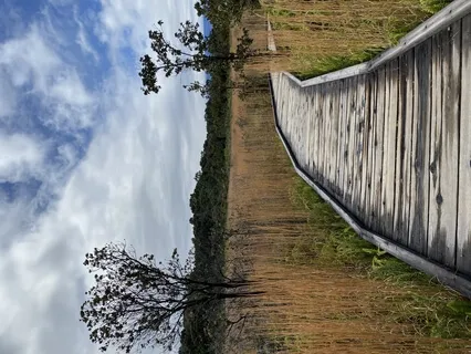 Under the Stars, Too: Condor