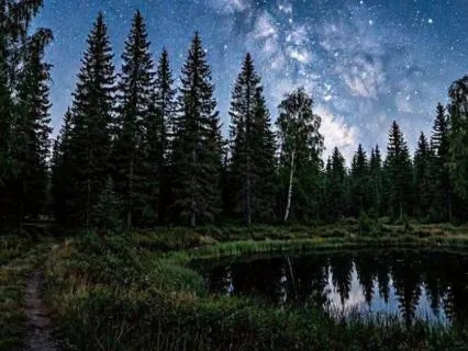 Under The Stars