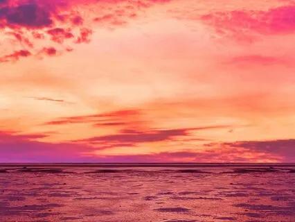 Under the Velvet Sky