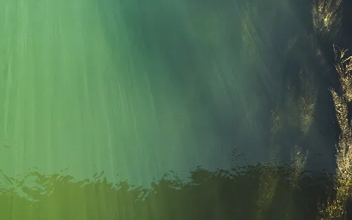 Under The WAVFEs (528Hz)