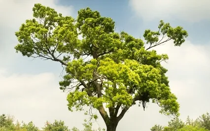 Underlying Fear Creates Stress