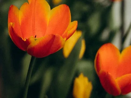 Understand Overwhelm And Overload- March 08