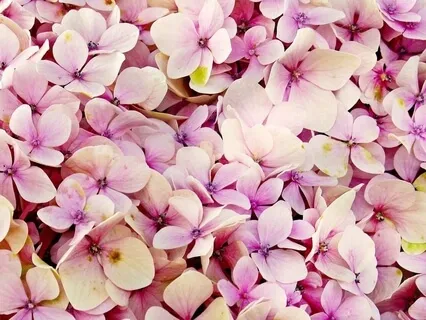 Understanding, A Talk And Meditation 