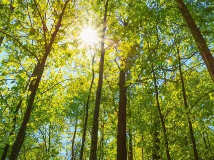 Understanding And Growing Self-Esteem Part 3