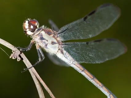 Understanding And Growing Self-Esteem Part 4