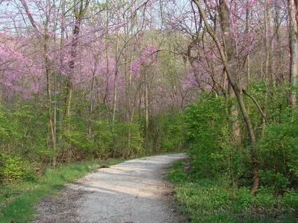 Understanding And Growing Self-Esteem Part 6