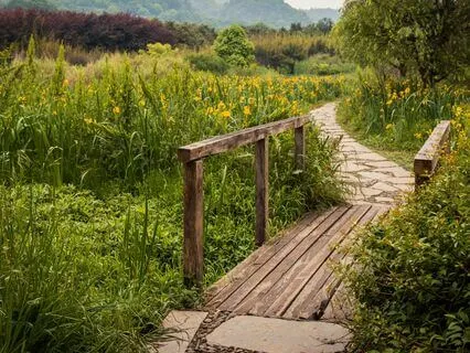 Understanding And Letting Go Of Addictions