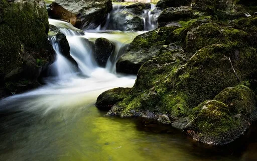 Understanding & Releasing Emotional Blockages (Talk & Q&A)