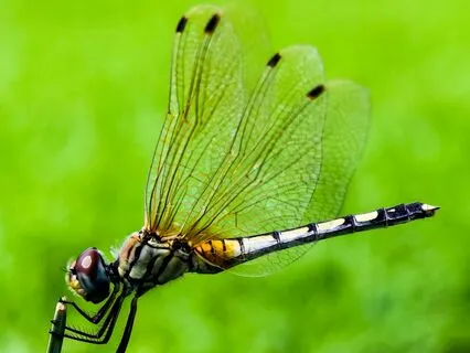 Understanding Anxiety: A Reflective Series For Anxiety