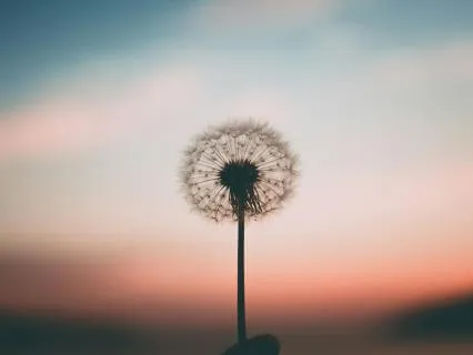 Understanding Anxiety: An Energetic Perspective For Empaths