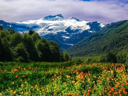 Understanding Anxiety