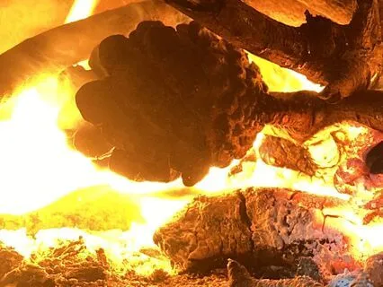 Understanding Ayurveda: Digestion With Agni And Ama