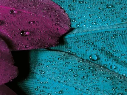 Understanding Change