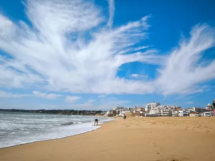 Understanding Emotions Through Body Language