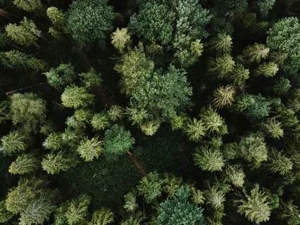 Understanding Family Dynamics - Weekly Energy Boost