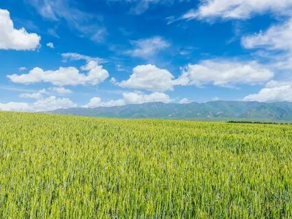 Understanding Fear : An Insightful Talk With Meditation