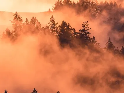 Understanding Identity