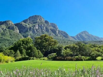 Understanding One Consciousness Is In Me, You & Everywhere