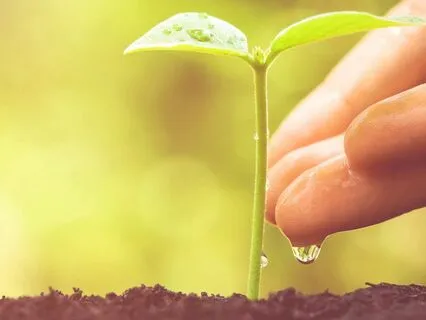 Understanding Our Defense Mechanisms