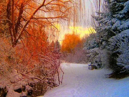 Understanding Our Mental Weather To Uncover Mental Health