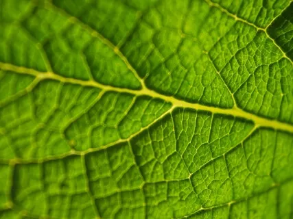 Understanding Our Minds: Healing Blocks Of Suffering 