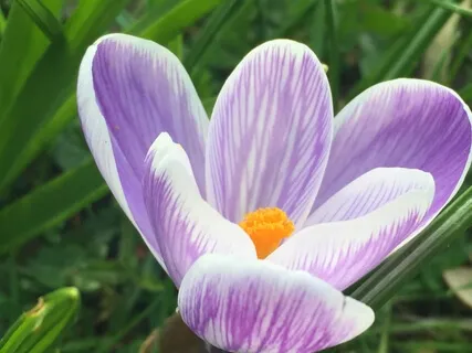 Understanding Our Minds: Question And Answers