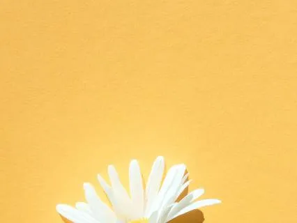 Understanding Pain: Offering Kindness To Yourself