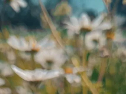 Understanding Pain: The Body & Pain Reflection