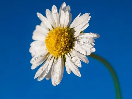 Understanding Psychic Love